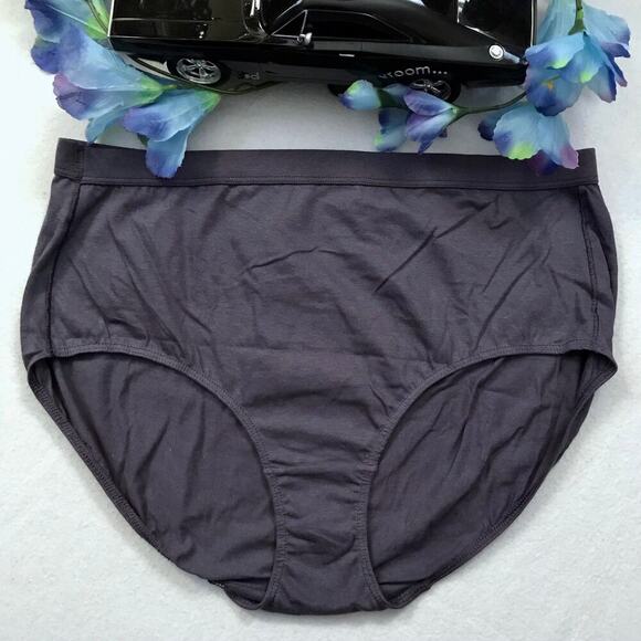 Hanes NWOT 2 Pack Bundle Brief Panties Women 9/2XL - Picture 4 of 7